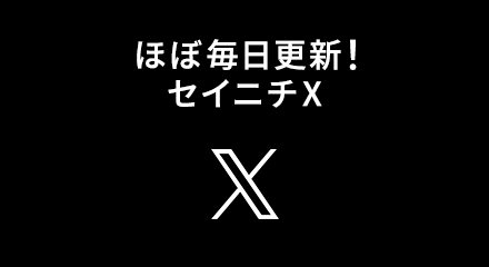 公式X